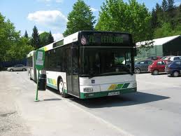 bus
